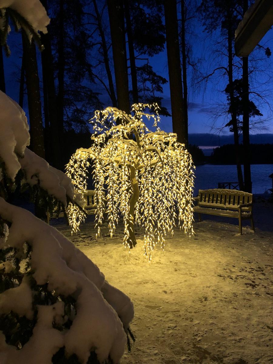 Silene Resort and SPA Photo by user review